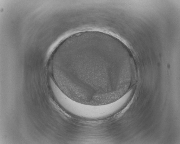 X0000061761502200512302250