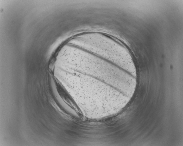 X0000061761503200512302250