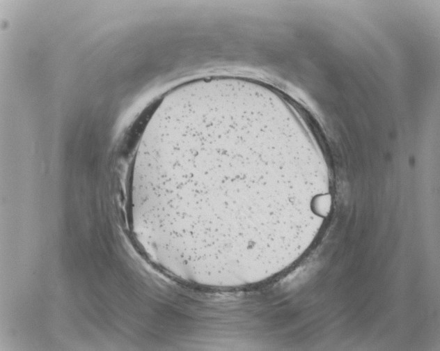 X0000061761504200512302250