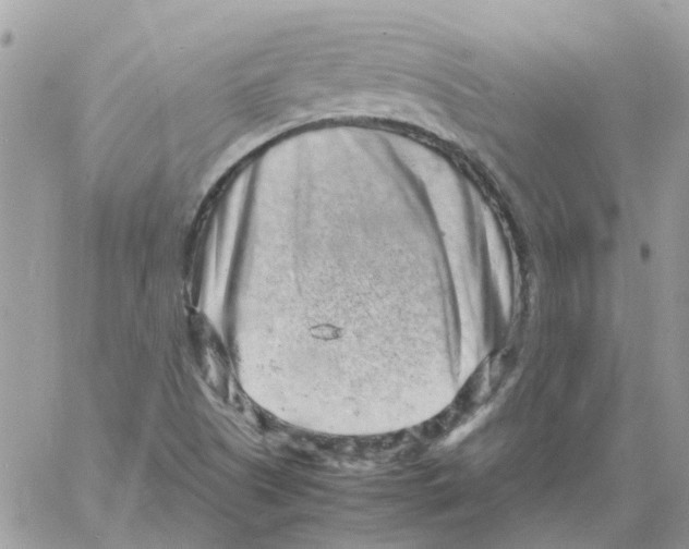 X0000061761505200512302250