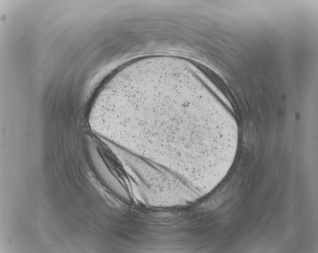 X0000061761507200512302250