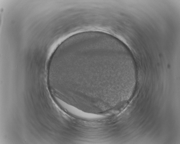 X0000061761508200512302250