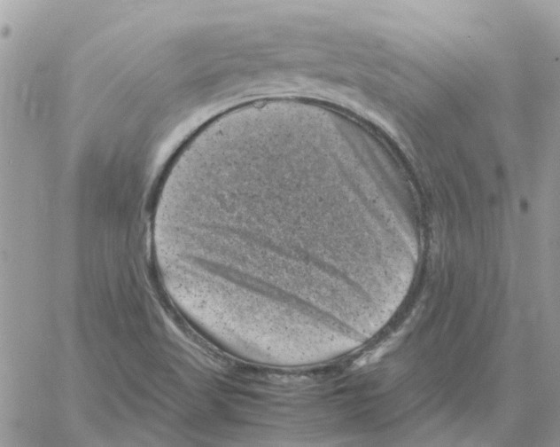 X0000061761509200512302250