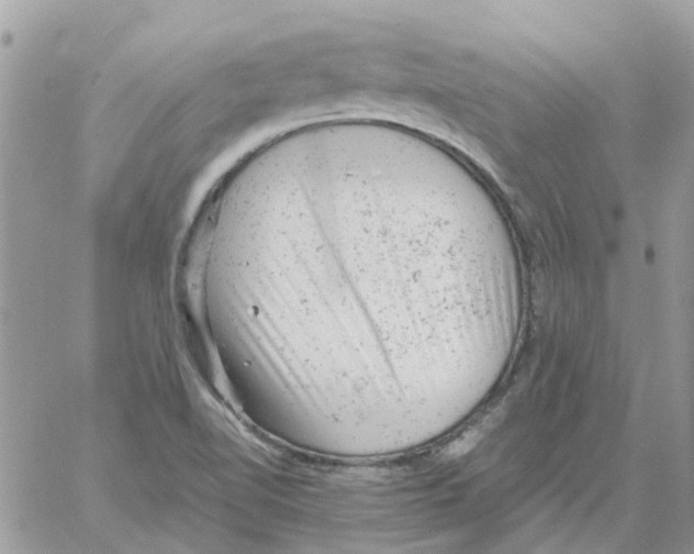 X0000061761510200512302250