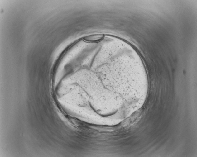 X0000061761511200512302250