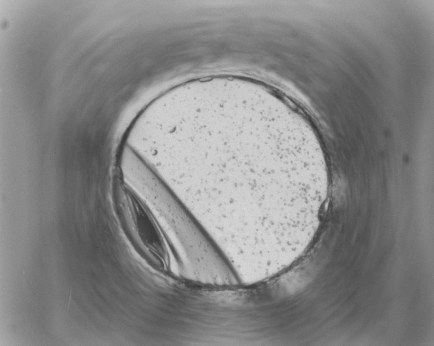 X0000061761512200512302250