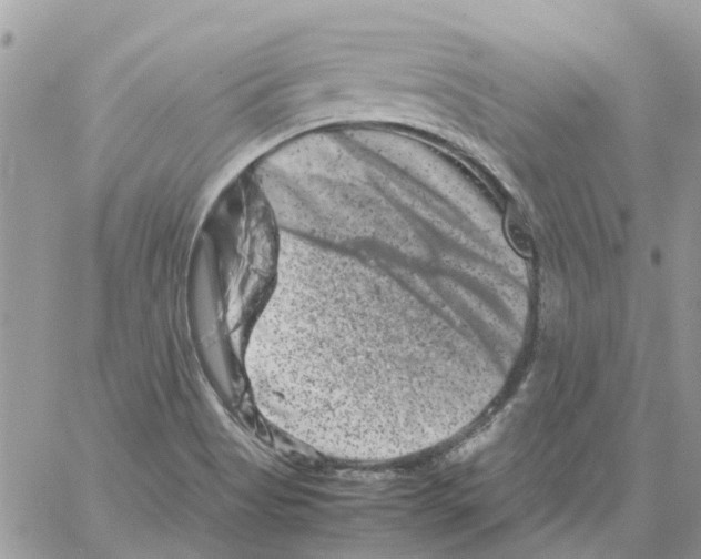 X0000061761513200512302250