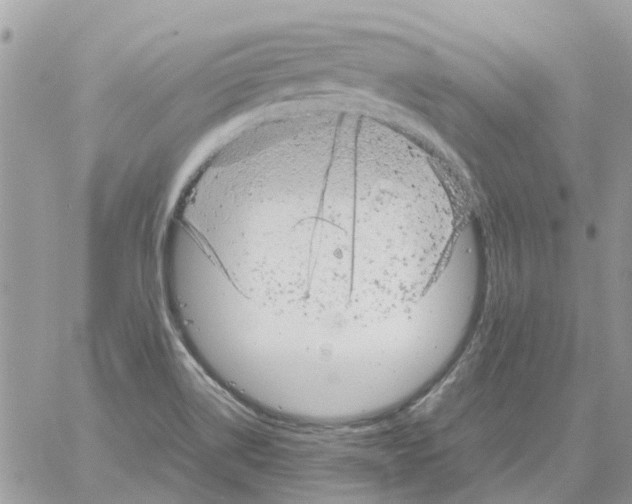 X0000061761514200512302250