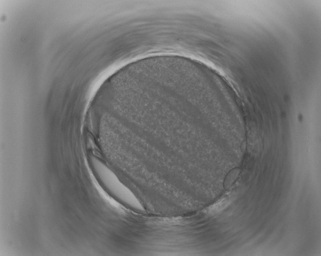 X0000061761519200512302250