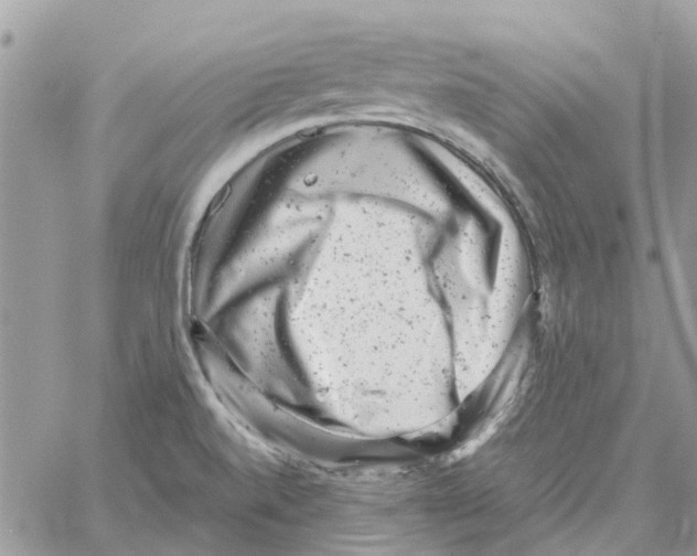 X0000061761520200512302250