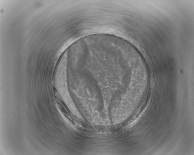 X0000061761521200512302250