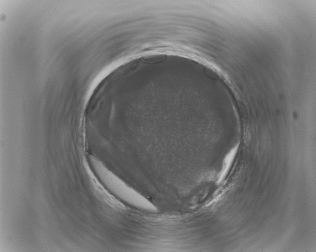 X0000061761522200512302250