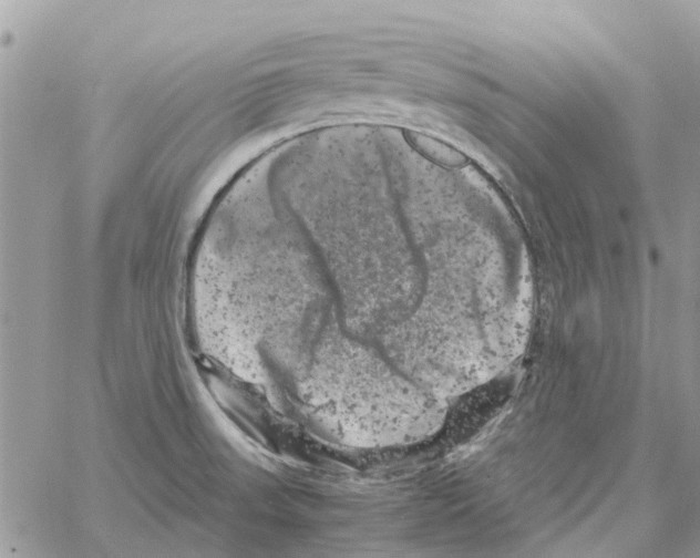 X0000061761523200512302250