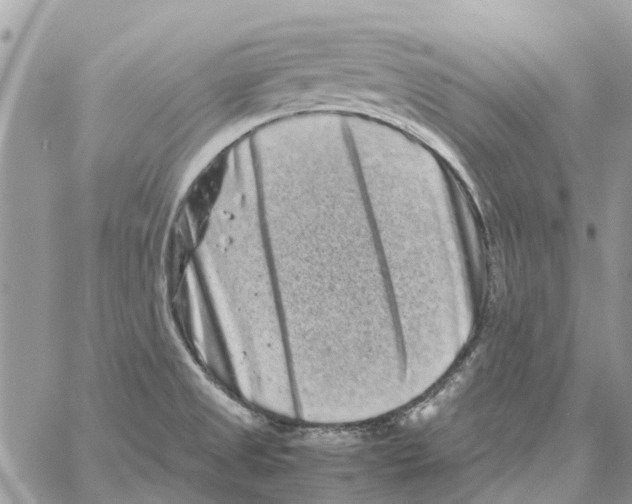 X0000061761525200512302250