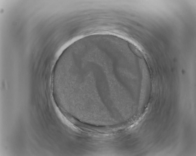 X0000061761526200512302250