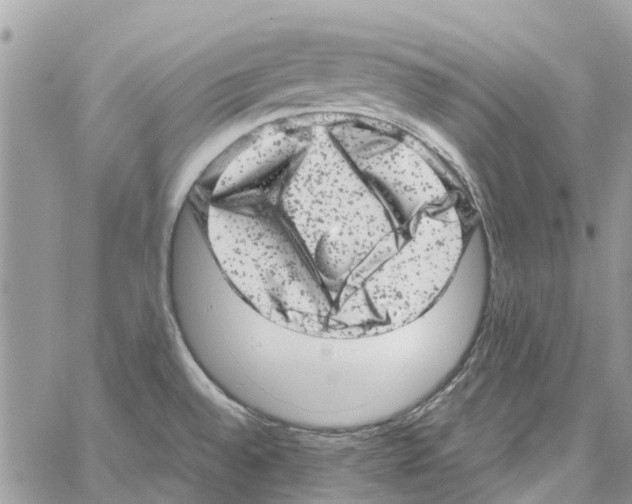 X0000061761528200512302250