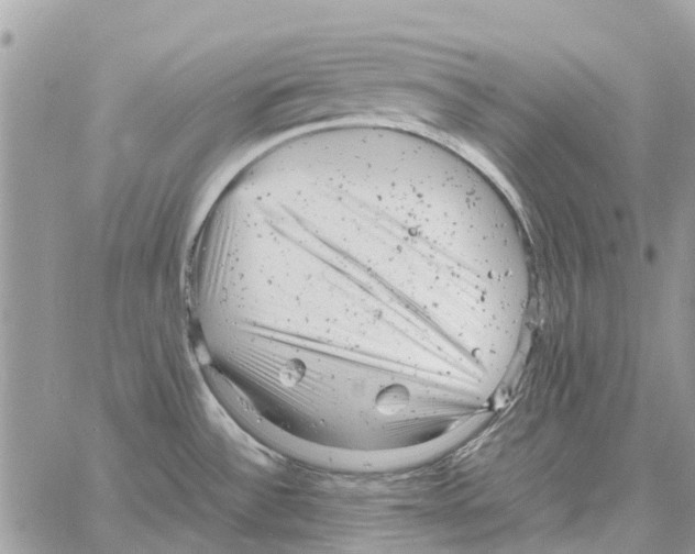 X0000061761532200512302250