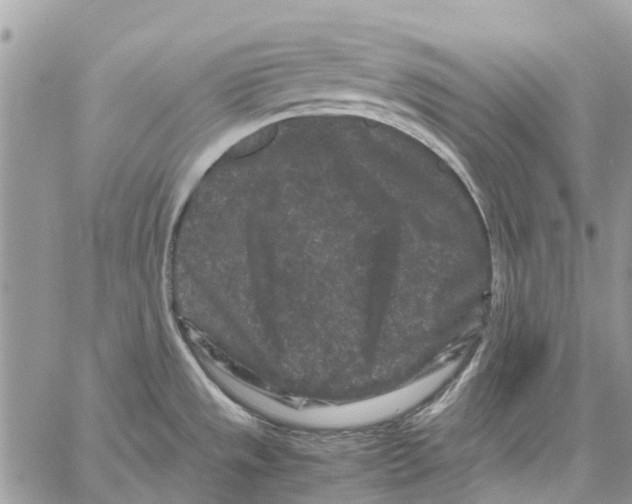 X0000061761533200512302250