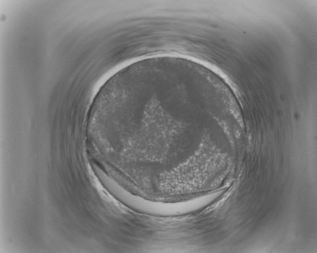 X0000061761534200512302250