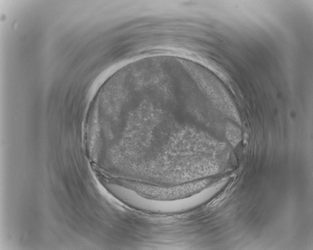 X0000061761535200512302250