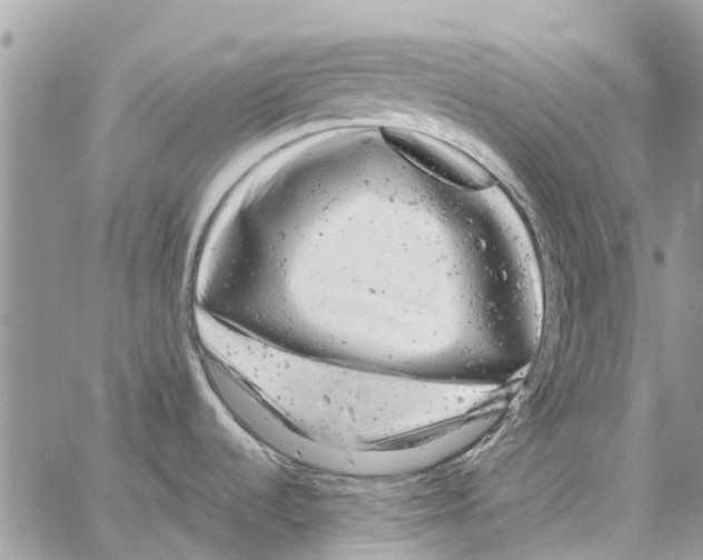 X0000061761536200512302250