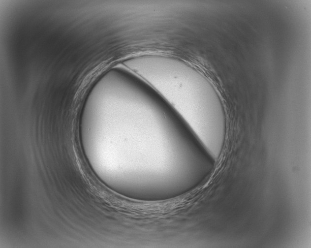 X0000062130001200512091003