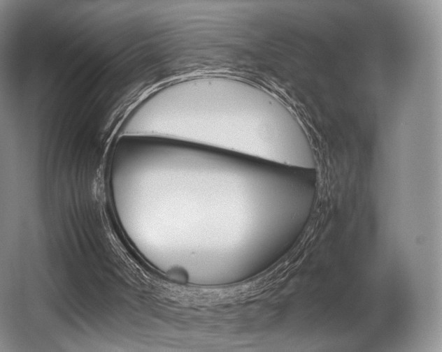 X0000062130002200512091003