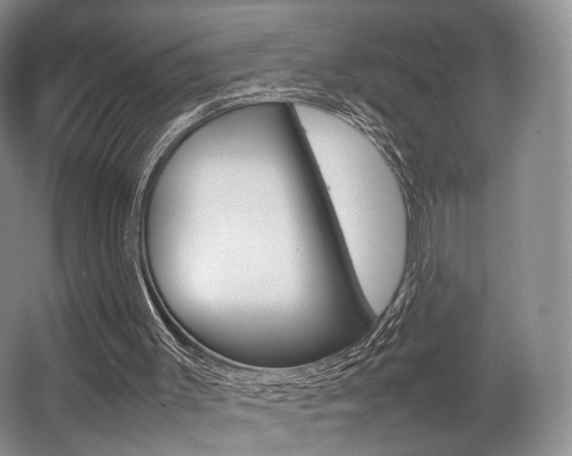 X0000062130003200512091003