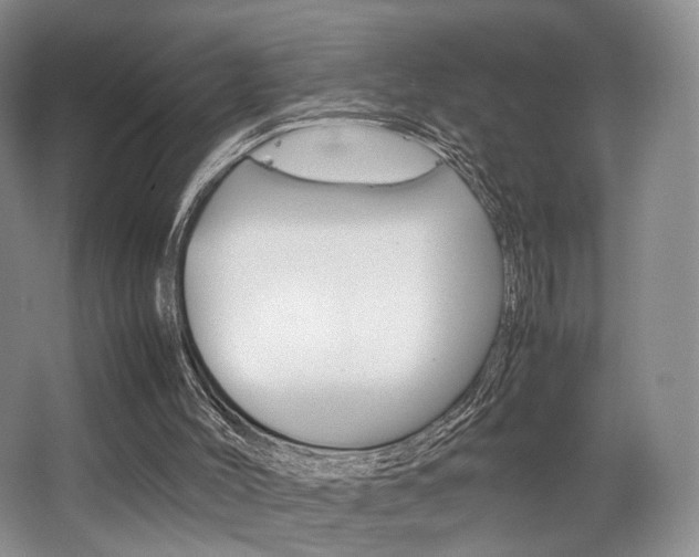 X0000062130004200512091003