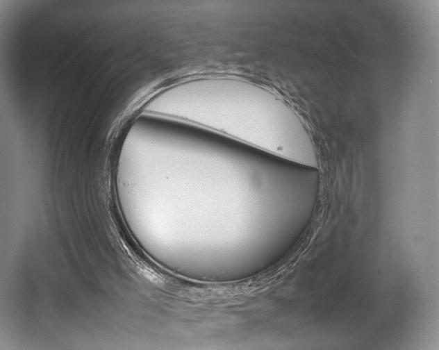 X0000062130005200512091003