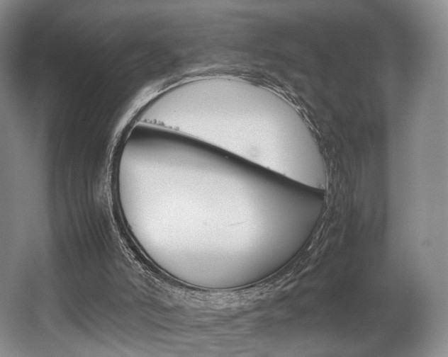 X0000062130006200512091003