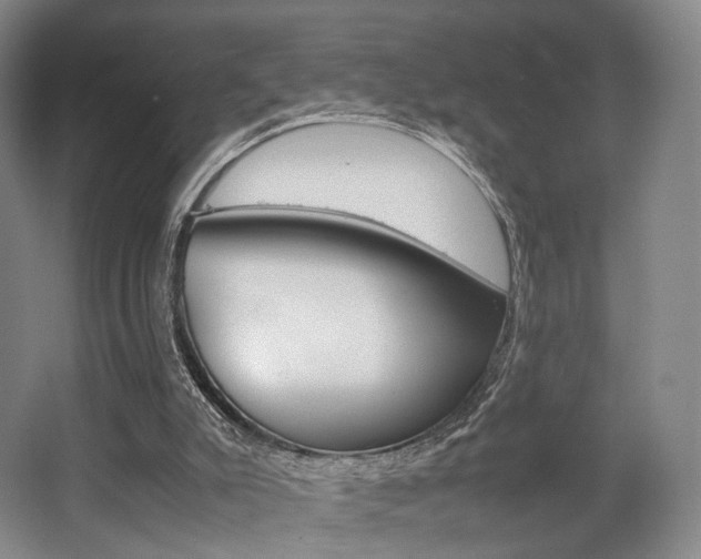 X0000062130007200512091003