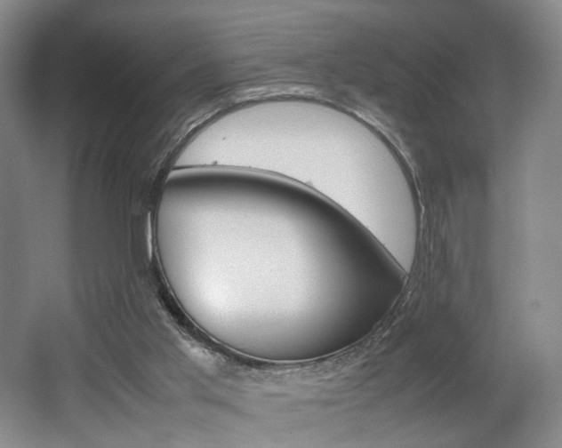 X0000062130013200512091002