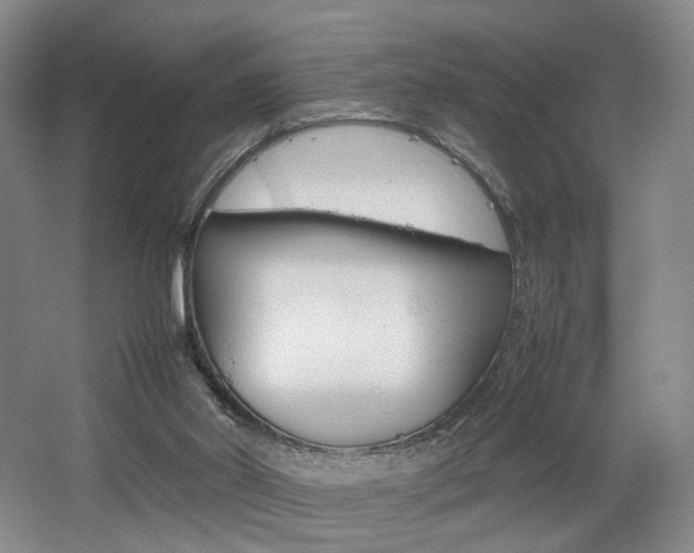 X0000062130014200512091002