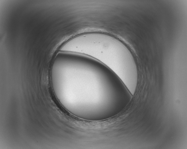 X0000062130015200512091002