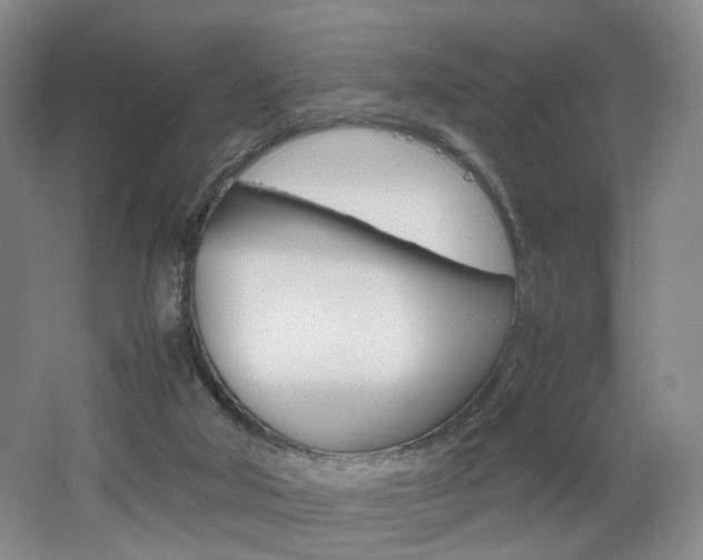 X0000062130018200512091002