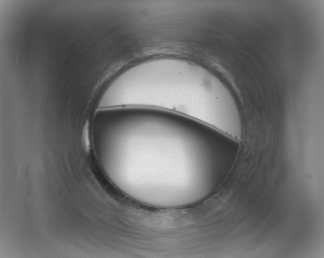 X0000062130020200512091002