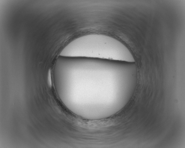 X0000062130022200512091002