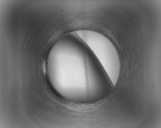 X0000062130027200512091002
