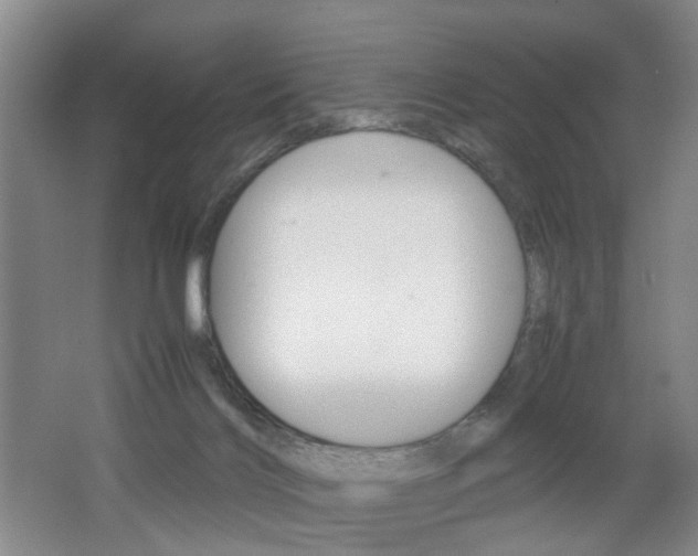 X0000062130028200512091002