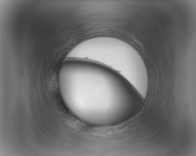 X0000062130029200512091002