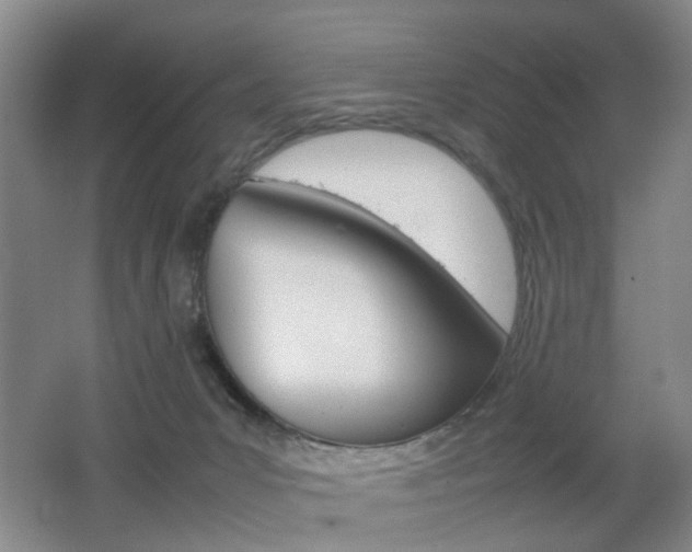 X0000062130031200512091002