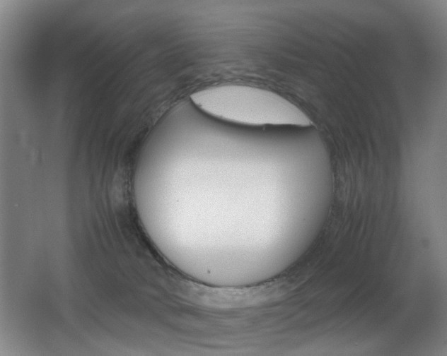 X0000062130034200512091002