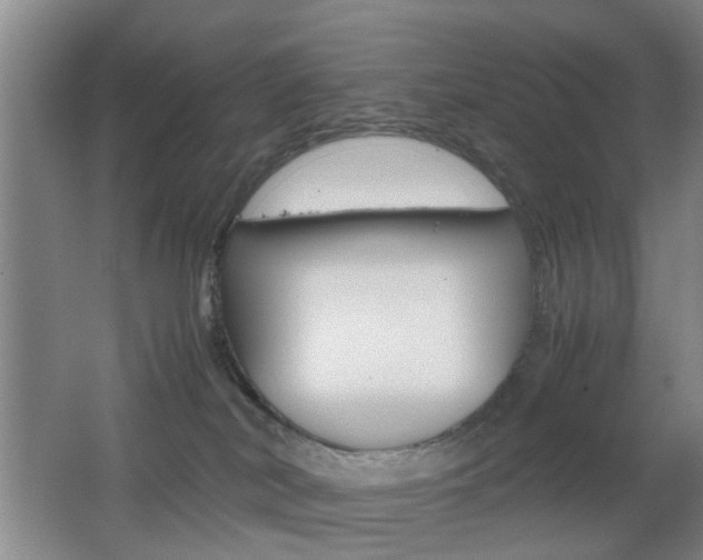 X0000062130038200512091002
