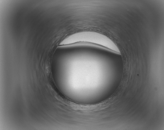X0000062130039200512091002