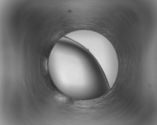 X0000062130041200512091002