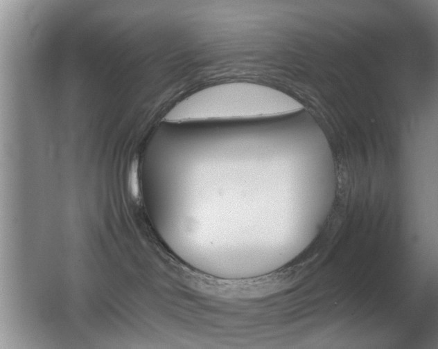 X0000062130046200512091002
