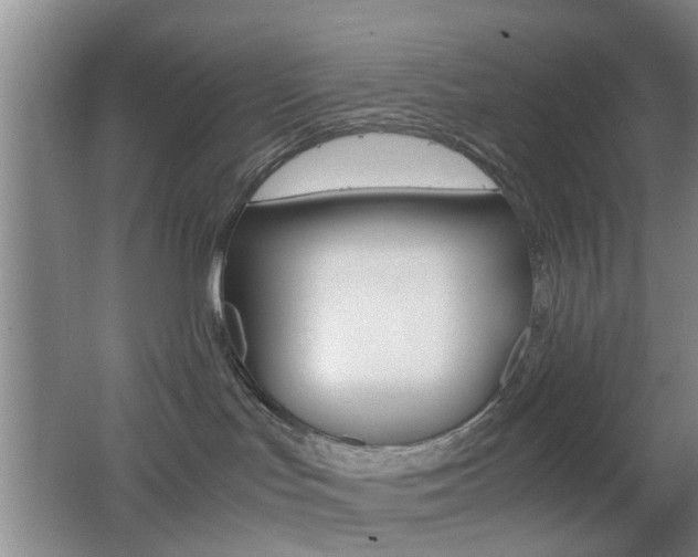 X0000062130047200512091002