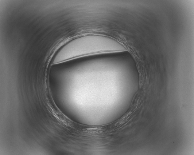 X0000062130050200512091001
