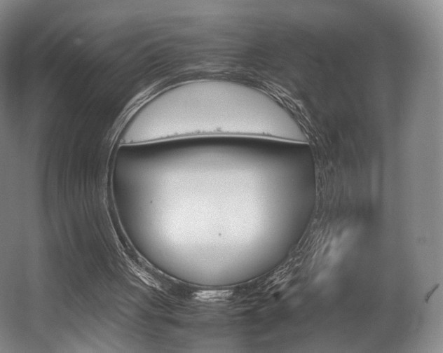 X0000062130051200512091001